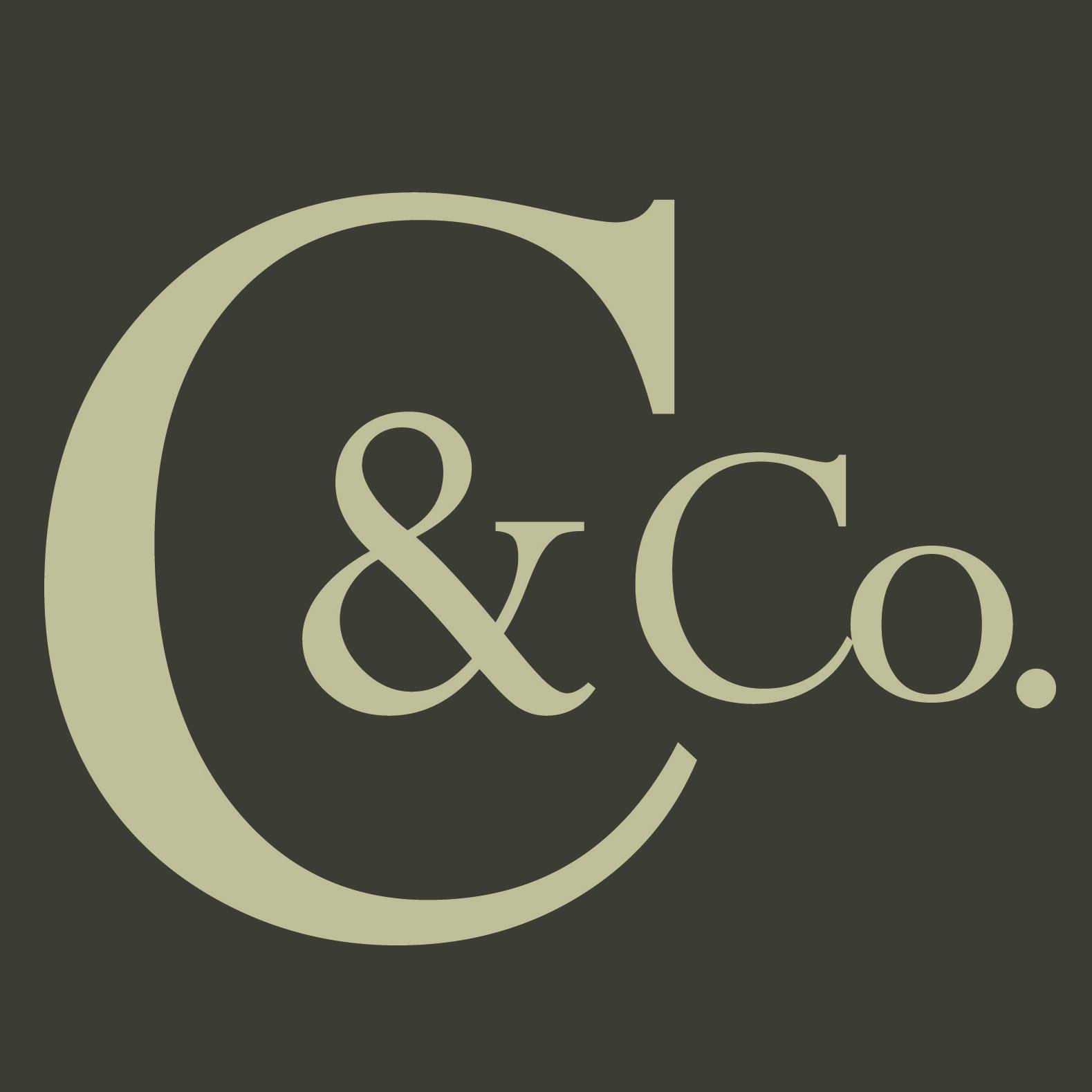 CinnamonAndCo_'s profile picture. At Cinnamon&Co. we provide a high-end, tailored service of: hostesses, dancers, models, flyer staff etc.