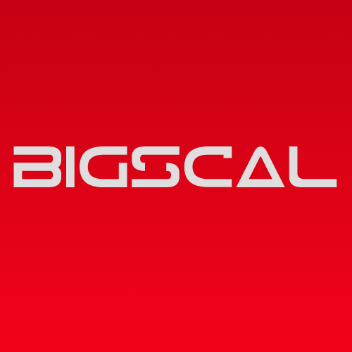 BigscalTech Profile Picture