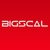 Bigscal Technologies Pvt. Ltd. (@bigscaltech) Twitter profile photo