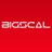 BigscalTech's profile image