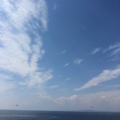 大学2年