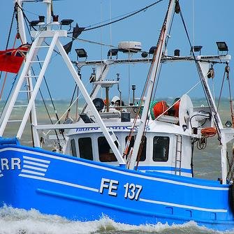 Top quality fish delivered throughout Suffolk