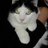 Nyansan7's profile image