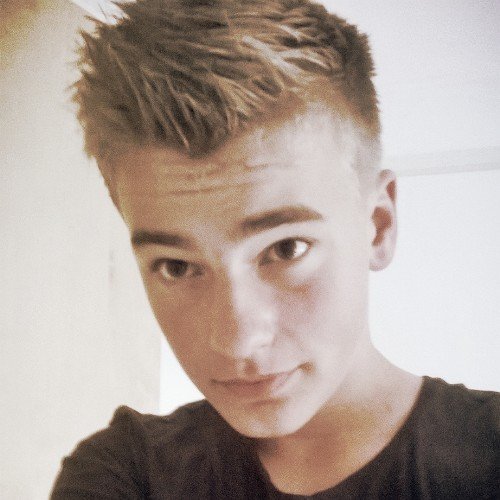 dedemsvaart .