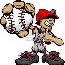 Haarlemmerme, Zwanenburg, Project Manager, Service Manager, Doelgericht, Resultaatgericht, LEAN, ITIL, Trainer, Coach, Baseball, Honkbal, Softbal, Snowboarden