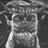 GrymUpNorth's profile image