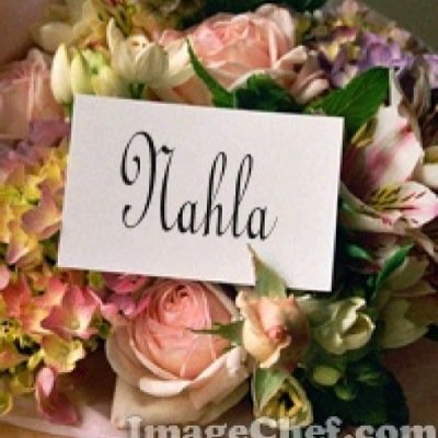 📔مركزتدريب معلمات رياض الاطفال