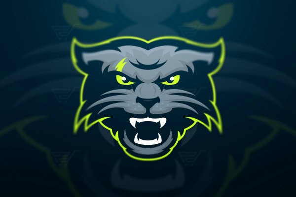 SimpleDesignsHD's profile picture. I am 17 I do gfx for people I know and who support me!