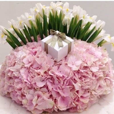 ‏وَاخْفِضْ لَهُمَا جَنَاحَ الذُّلِّ مِنَ الرَّحْمَةِ وَقُلْ رَبِّ ارْحَمْهُمَا كَمَا رَبَّيَانِي صَغِيرًا...