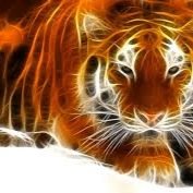 follow for a follow back!