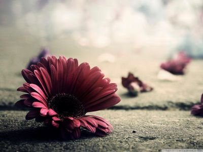 aaa_aa15's profile picture. احبك ياعراق