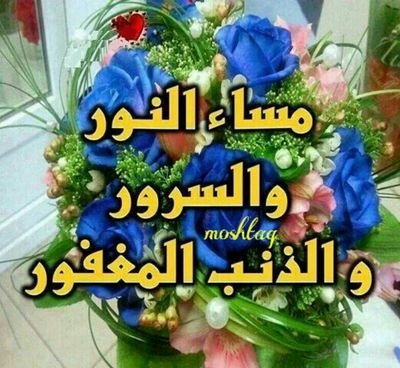 ‏السلام عليكم ورحمته الله وبركاته كيف الحال وعيد مبارك مقدمن  الاي حاب نتواصل علا الوتساب 770169366  بدون احراج