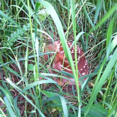 compatable2's profile picture. 