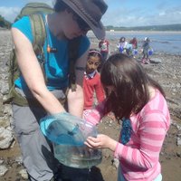 Dawn Thomas (@dawnnaturedays) 's Twitter Profile