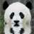RainPandaさんのプロフィール画像