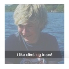 nialIismineq's profile picture. Can you pls go follow @sheerodal please? Thks. ❤️