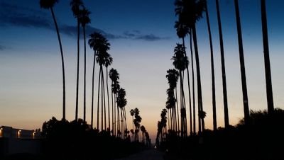 jimmyz36's profile picture. 