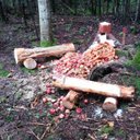 Charles Cote - @charlescote99 - Twitter