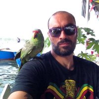 DaKing (@daking7777) 's Twitter Profile