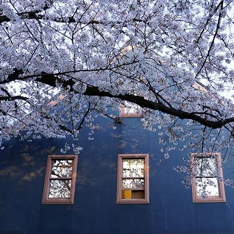 mail519's profile picture. 