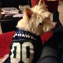 Dan Kirschner - @dskirschner - Twitter