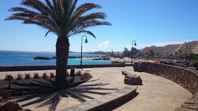 AnyaWielinga's profile picture. 