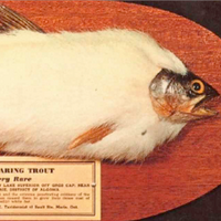 UTSConservation (@utsconservation) 's Twitter Profile