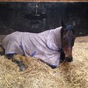 Roxy Robinson - @roxyrobinson1 - Twitter