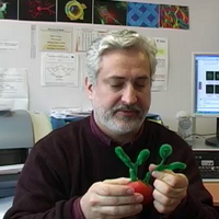 Franco H Falcone (@parazoon) 's Twitter Profile