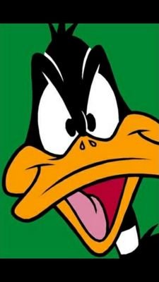 lucas_patoso's profile picture. 