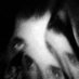 echosonic (@echosonic) Twitter profile photo
