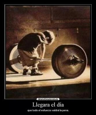 LISSETHGARCIA8's profile picture. Soy una superviviente, estoy aqui y ahora,no he parado de luchar,todo lo que tengo me a costado,esfuerzo,trabajo y muchas lagrimas... Feliz....