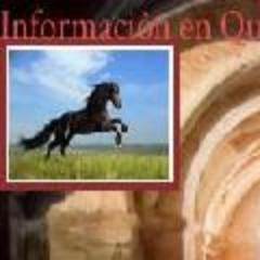 Diario Matutino de Quintana Roo
