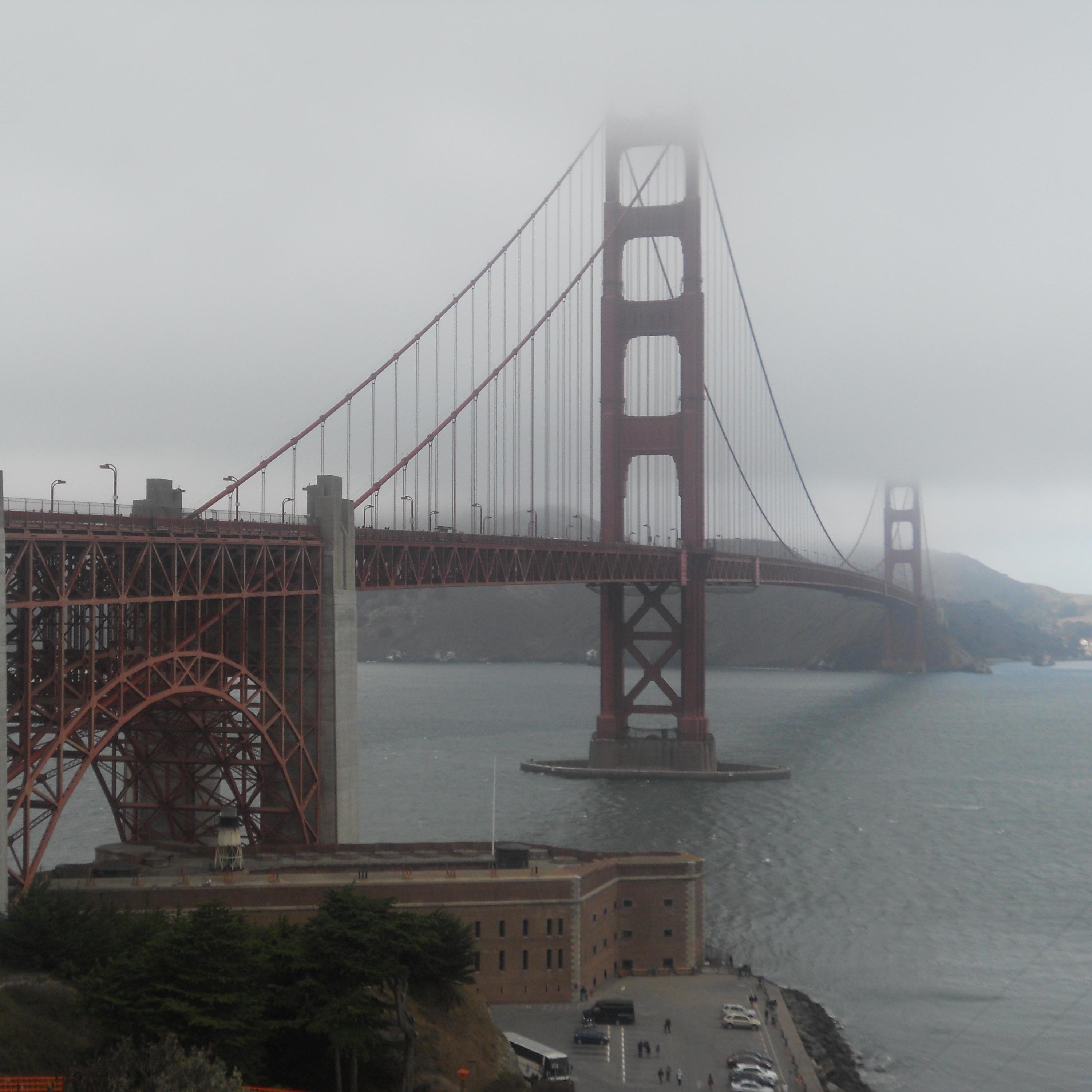 alexgerardo19's profile picture. 