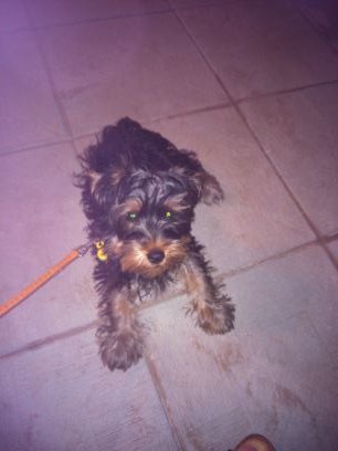 1103Beju's profile picture. Me gusta la familia, los amigos,leer,el cine y las manualidades.