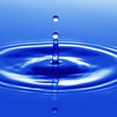 eleveneleven117's profile picture. Individual living within the ONE