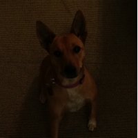 Jerrianne (@jerrianneweed) 's Twitter Profile