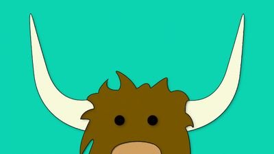 UNC Charlotte's Best Yaks and Rumours.