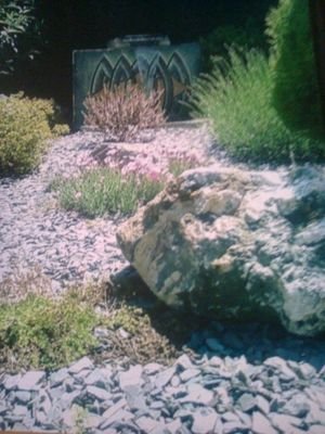 livelifeland's profile picture. Tony Sims is a qualified horticulturist and landscaper based in Salford. With decades of experience, Tony provides a professional service across the south west