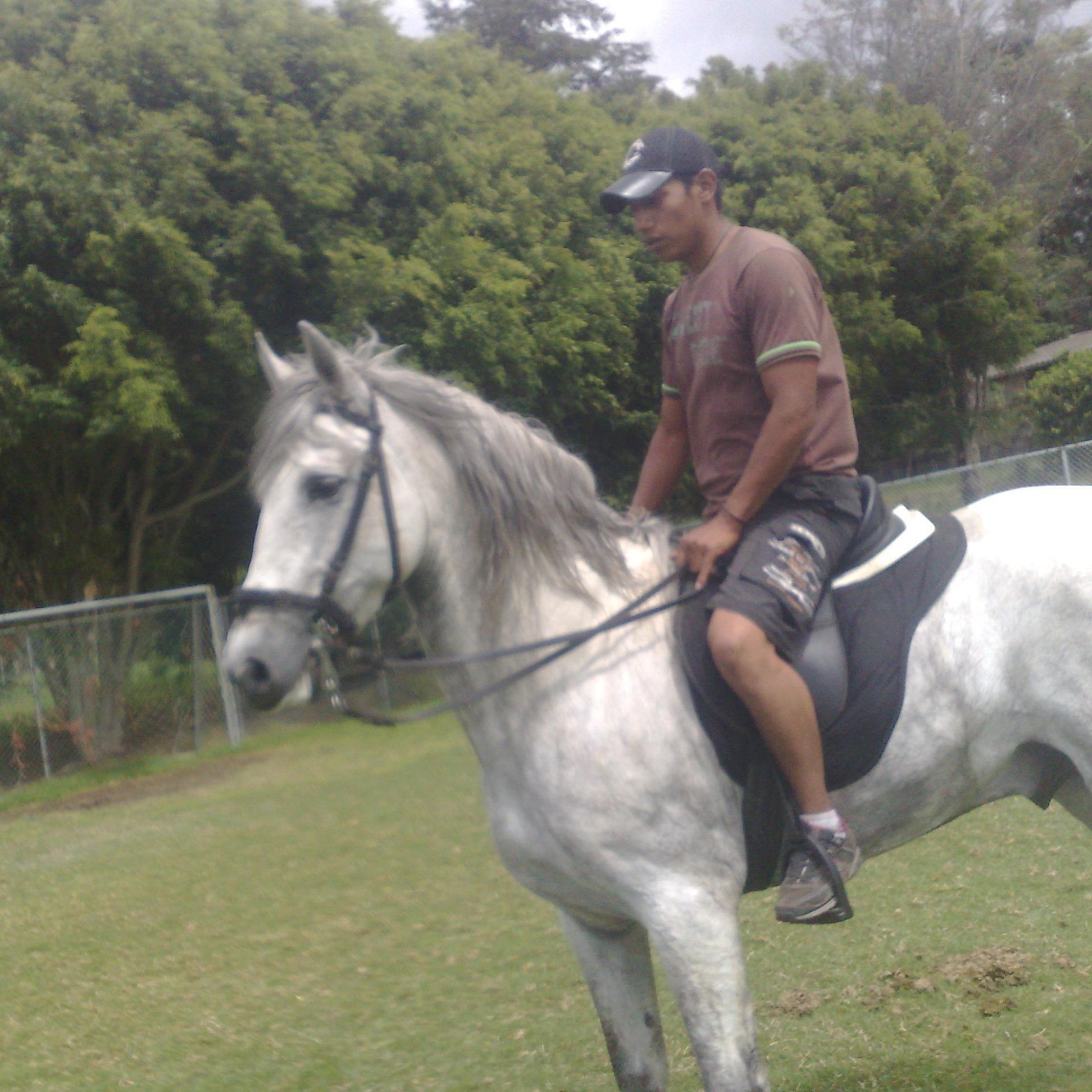soltero
