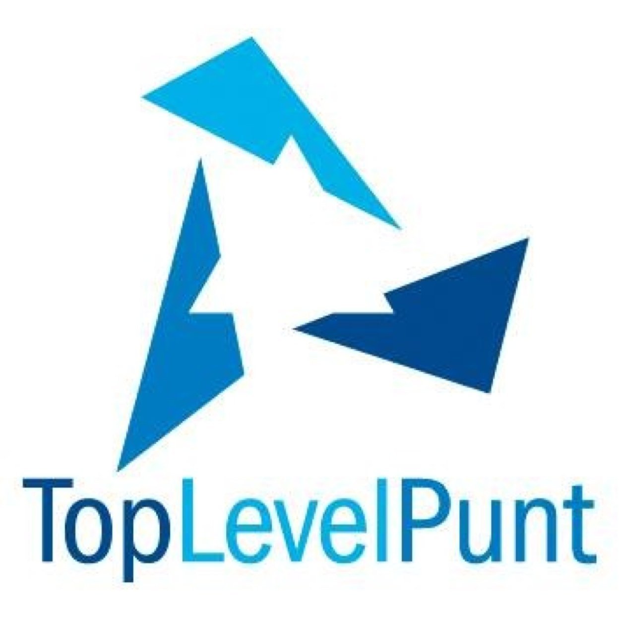 toplevelpunt Profile Picture