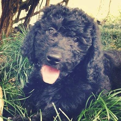 karengold's profile picture. 