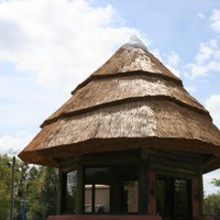 Endureed Synthetic Thatch (@syntheticthatch) 's Twitter Profile