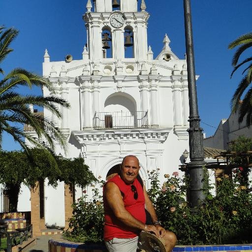 AngelTransarch's profile picture. 