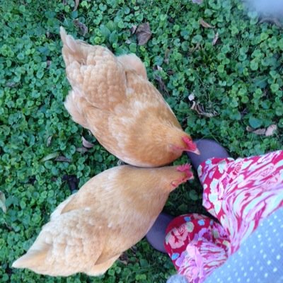 brown_cano's profile picture. 