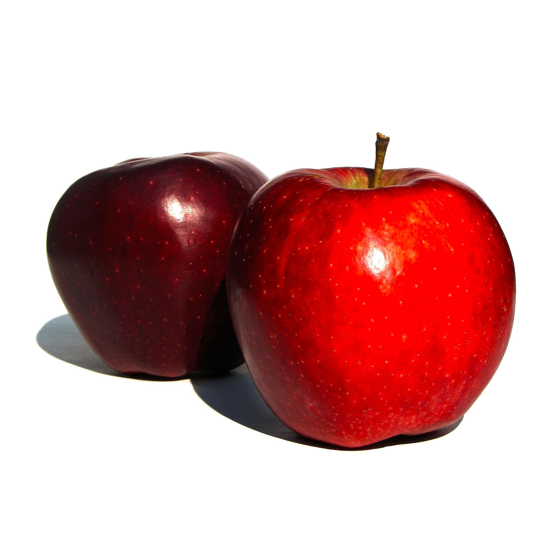 OnlineApples's profile picture. Order your delicious apples today! They may or may not be delivered by drones.