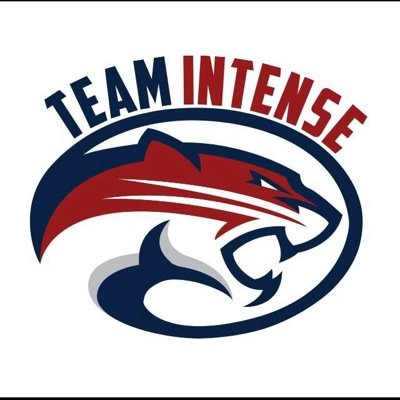 Esports_Intense's profile picture. Call Of Duty Tournaments | European PS4 | Currently looking for Teams to Represent the Organisation!