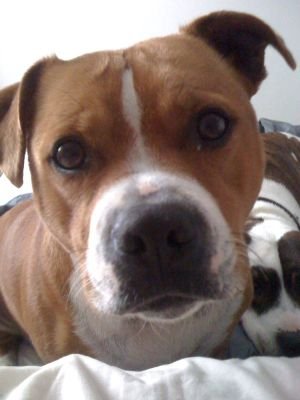 KELS103's profile picture. Well I'm just me!! A regular Joette with a beautiful baby girl and boy. PHB holder for Cooper