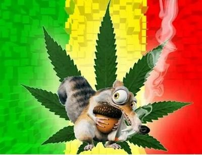 quem sabe fais a hora                                                         não espera acontecer.