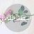 ka_iljanh's profile image